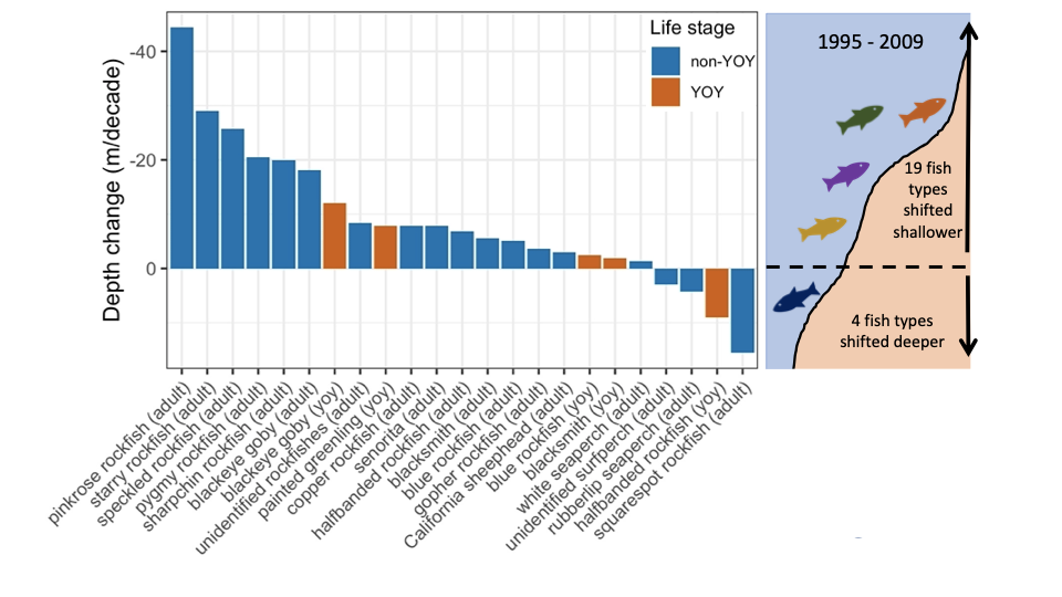 The distribution changes of the 23 types of fishes that showed significant movement over the course of the study